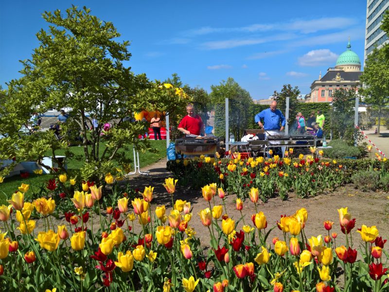 tulpen im sommer lustgarten potsdam mit grillstand beim muko freundschaftslauf